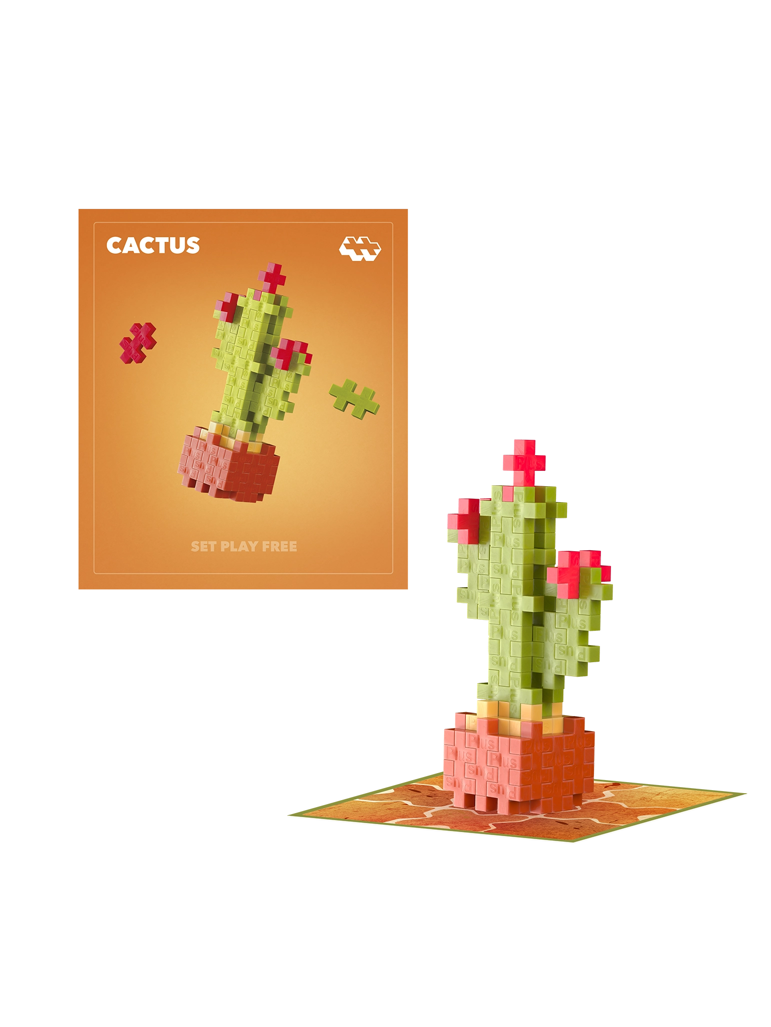 Kaktus